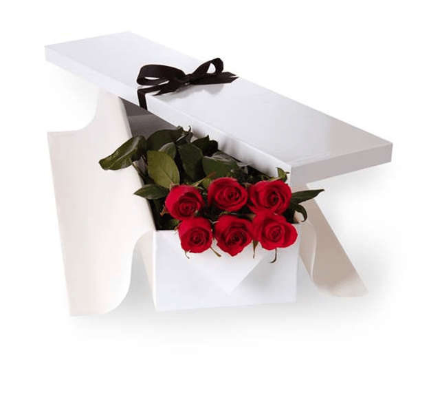 6 Red roses in a white box